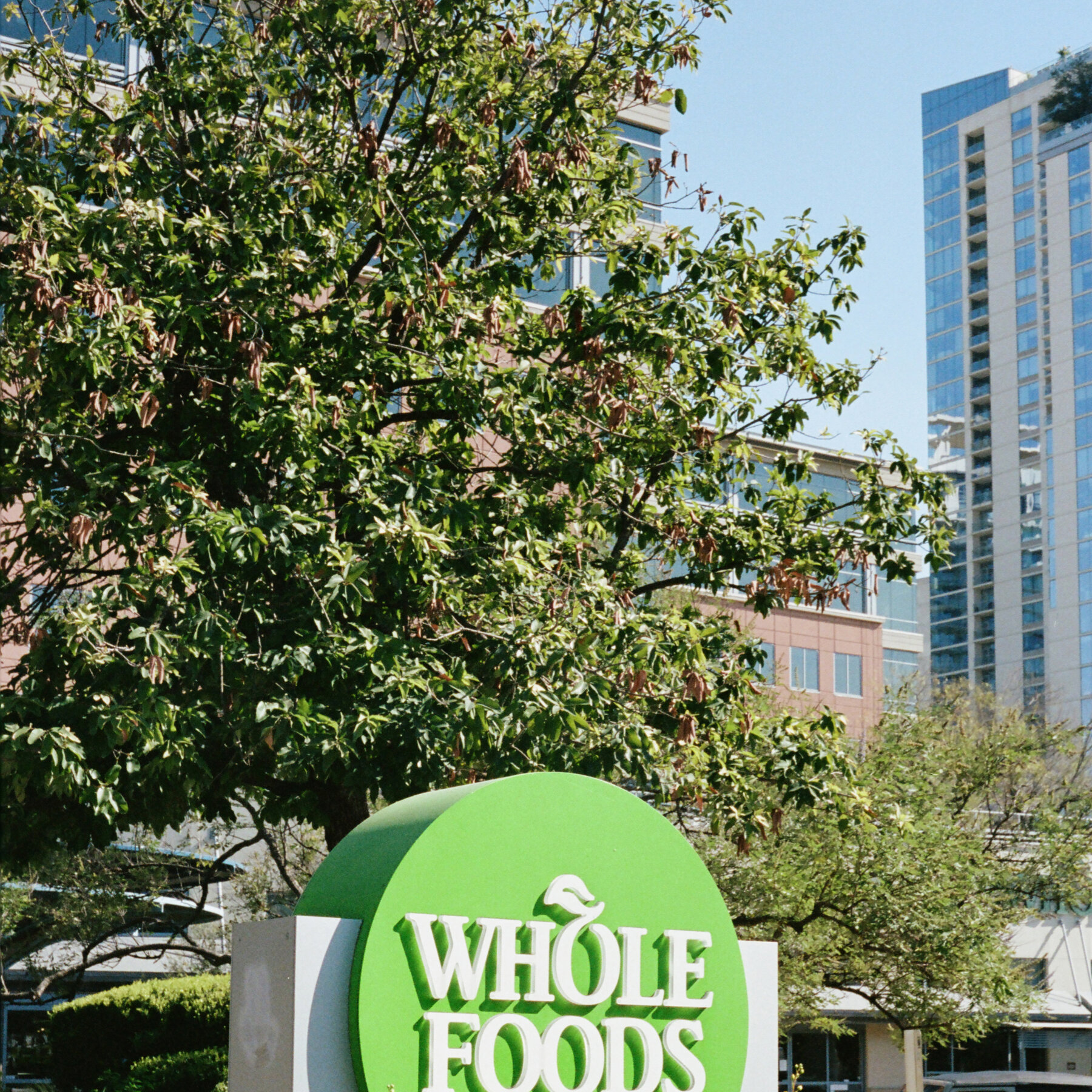 Supreme Court Considers Toxic Baby Food Lawsuit Involving Whole Foods